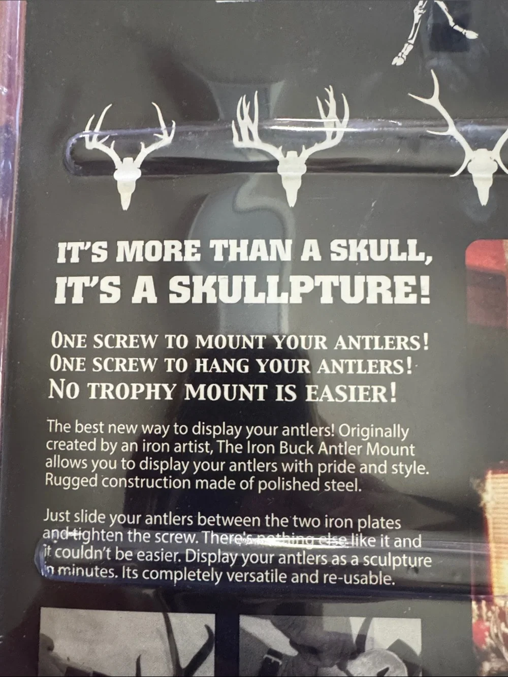 American Iron Buck Antler Mount
